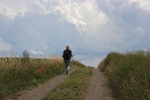 Suivez notre sentier de découverte